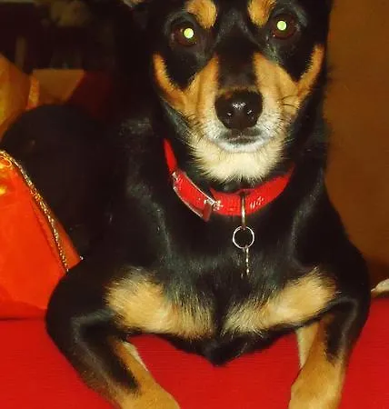 Bed & Breakfast Forum Cassii Vetralla