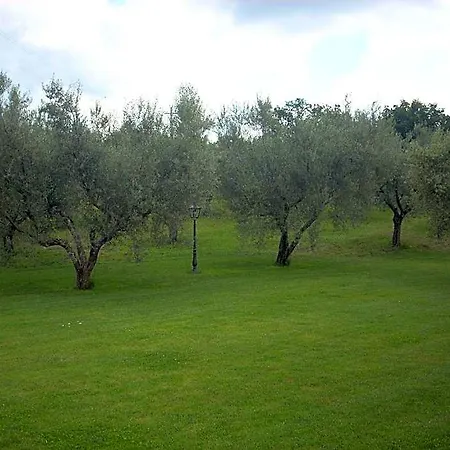 Bed & Breakfast Forum Cassii