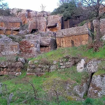 Forum Cassii Vetralla