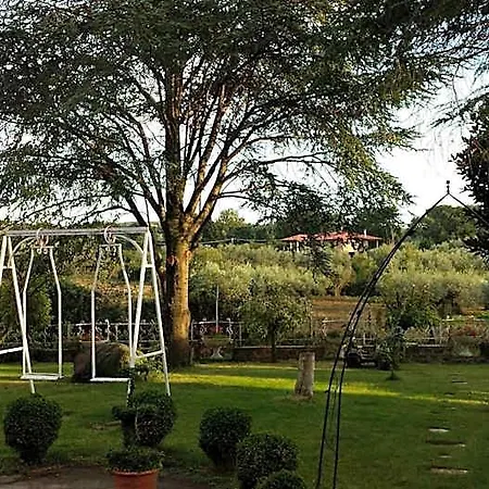 Forum Cassii Bed & Breakfast Vetralla