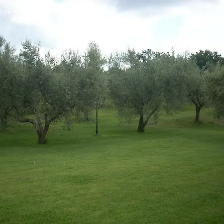 Forum Cassii Bed & Breakfast