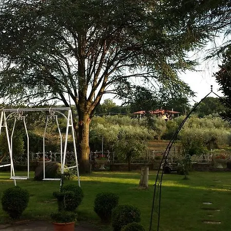 Forum Cassii Bed & Breakfast 3*