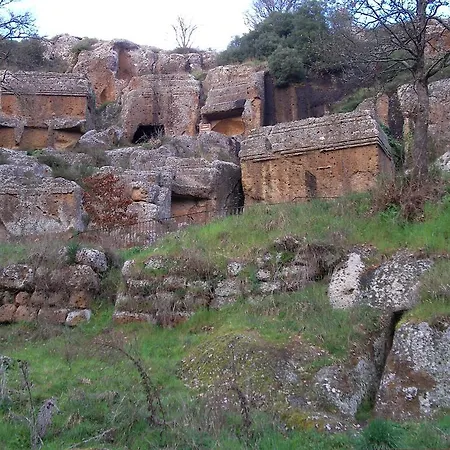 Forum Cassii Bed & Breakfast Vetralla