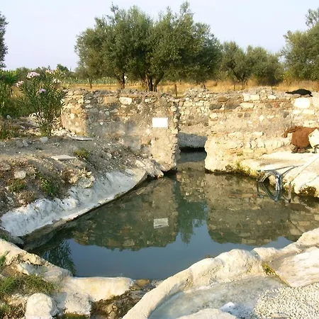 Forum Cassii 3*